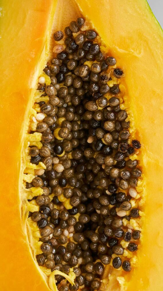 బొప్పాయి గింజలను పడేస్తున్నారా? అయితే ఇది మీకోసమే