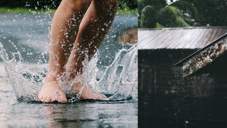 Rain Alert 11 District Will get rain in Tamil Nadu Chennai Metrological Department Says TN Rain: 11 மாவட்டங்களில் இன்று கனமழைக்கு வாய்ப்பு - வானிலை நிலவர விவரம் இதோ!