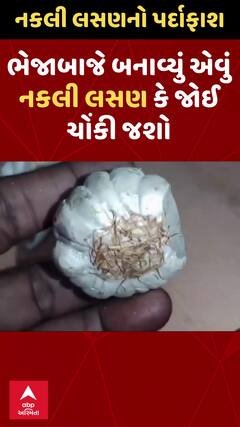 Fake Garlic | ભેજાબાજે એવું બનાવ્યું નકલી લસણ કે જોઈ ચોંકી જશો, વીડિયો થયો વાયરલ