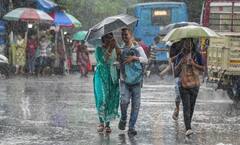 West Bengal Weather : মহানগরে আকাশ ভাঙা বৃষ্টি, মঙ্গলে কোন কোন জেলায় দুর্যোগের অশনিসঙ্কেত?