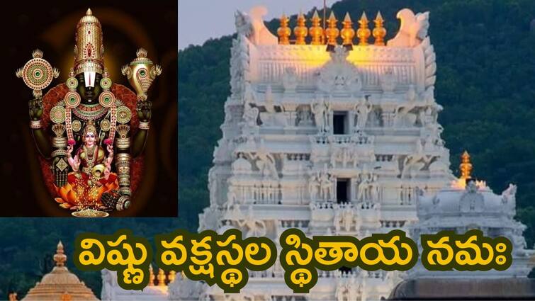 Tirumala importance of Vyuha Lakshmi  Mantras and Slokas in Telugu Tirumala: లక్ష్మీదేవి అనుగ్రహం తొందరగా దక్కాలంటే..తిరుమల శ్రీవారి సన్నిధిలో ఇలా చేయండి!