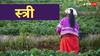 किस भाषा से आया है स्त्री शब्द, जानिए इस शब्द का कितना पुराना है इतिहास  