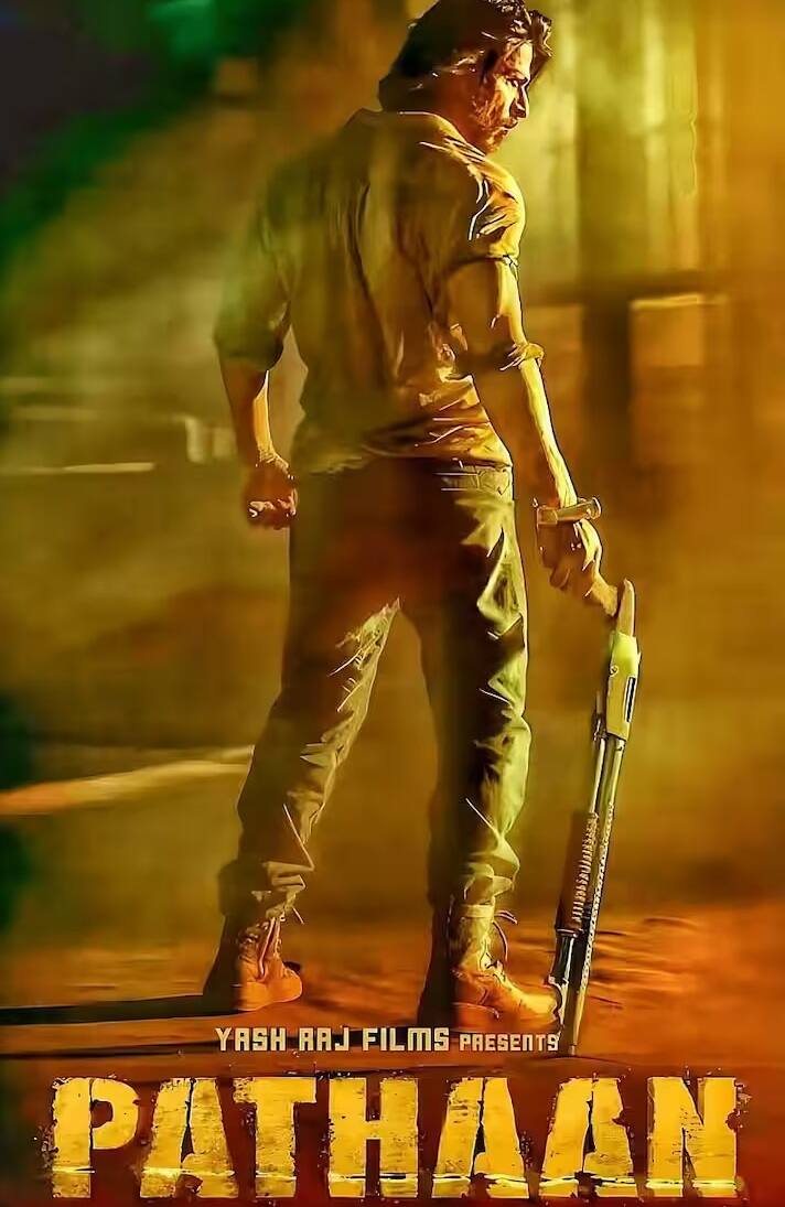 આ કલેક્શન સાથે 'સ્ત્રી 2' એ શાહરૂખ ખાનની પઠાણ, રણબીર કપૂરની 'એનિમલ' સહિત ઘણી મોટી ફિલ્મોના રેકોર્ડ તોડી નાખ્યા છે.