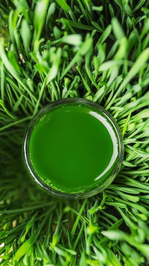 9 Surprising Benefits Of Wheatgrass