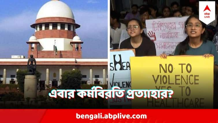 Supreme Court On RG Kar Murder Case CJI requests doctors to resume work SC On RG Kar Murder Case : আন্দোলনকারী ডাক্তারদের কাজে যোগ দিতে অনুরোধ শীর্ষ আদালতের, হবে কি পরিস্থিতি বদল?