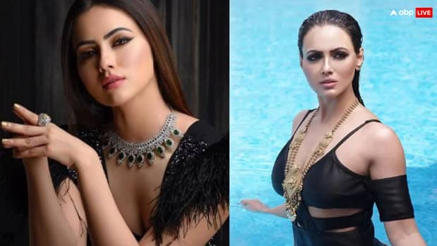 Sana Khan Birthday actress tv show films love affair marriage with maulana know unknown facts Sana Khan Birthday: कभी सना खान की खूबसूरती पर फिदा थे लोग, प्यार में मिला धोखा तो मौलाना से कर लिया निकाह