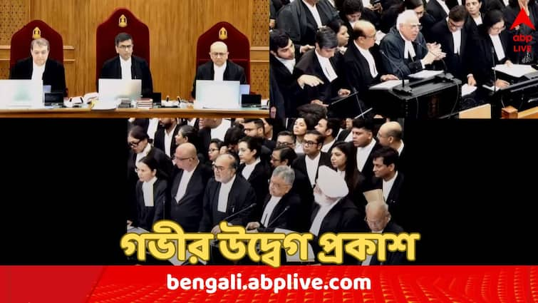 Supreme Court expresses deep concern over RG Kar Lady Doctor's Murder incident know observation of Chief Justice DY Chandrachud RG Kar Lady Doctor's Murder: 'আমরা আরও একটা ধর্ষণের জন্য অপেক্ষা করতে পারব না', আরজি কর কাণ্ডে গভীর উদ্বেগ প্রকাশ শীর্ষ আদালতের