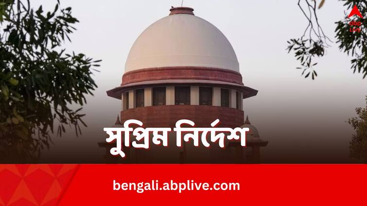 RG Kar Case Supreme Court constitutes National Task force to look into doctors safety at workplace RG Kar Case Hearing: RG কর কাণ্ডের জের, কর্মক্ষেত্রে চিকিৎসকদের নিরাপত্তায় জোর, টাস্ক ফোর্স গঠন করল সুপ্রিম কোর্ট