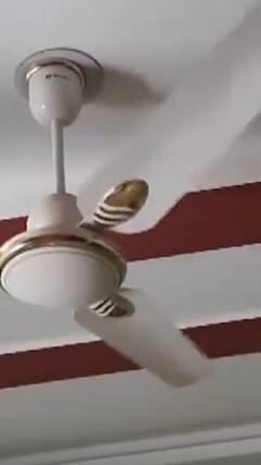 Jammu Kashmir Earthquake: जम्मू कश्मीर में आया भूकंप | ABP NEWS SHORTS