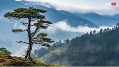 Jharkhand Trip: લગ્ન પછી, ઝારખંડના આ પ્રખ્યાત હિલ સ્ટેશનોની અવશ્ય મુલાકાત લો, તમારી સફર યાદગાર બની જશે