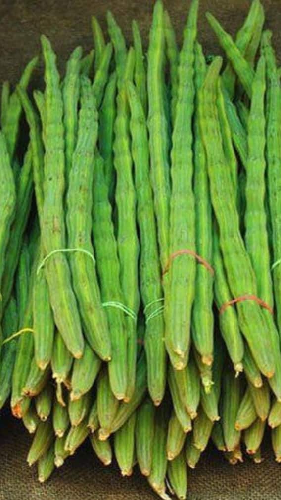 ਇਨ੍ਹਾਂ ਲੋਕਾਂ ਨੂੰ ਨਹੀਂ ਖਾਣੀ ਚਾਹੀਦੀ Drumsticks