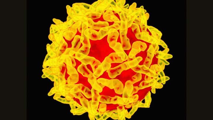 5. Yellow Fever: Yellow fever is a viral disease transmitted by Aedes and Haemagogus mosquitoes, causing symptoms like fever, chills, and muscle pain. Severe cases can lead to liver damage, jaundice, and bleeding. (Image Source: Pinterest/wired)