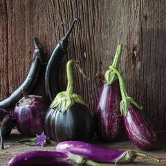 Brinjal: ਕੈਲੋਸਟਰੋਲ, ਸ਼ੂਗਰ ਨੂੰ ਕੰਟ੍ਰੋਲ ਕਰਦਾ ਤੇ ਮੋਟਾਪਾ ਦੂਰ ਕਰਦਾ ਬੈਂਗਣ