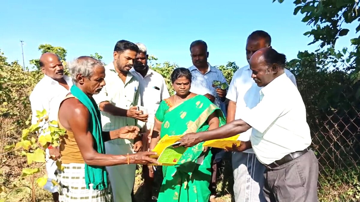 இலவச பருத்தி விதையால் வாழ்வாதாரத்தை இழந்த விவசாயிகள் - சீர்காழி அருகே சோகம்