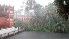 Weather Update : সুস্পষ্ট নিম্নচাপের ভ্রুকুটি, অঝোর ধারায় ভিজবে মহানগর? কোন কোন জেলায় ভারী বৃষ্টি?