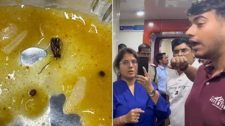 Vande Bharat Passenger Finds Cockroach In Dal Shirdi to Mumbai Vande Bharat Passenger Finds 'Live Cockroach' In Dal, Says 'My 80-Year-Old Father Had Same Food'