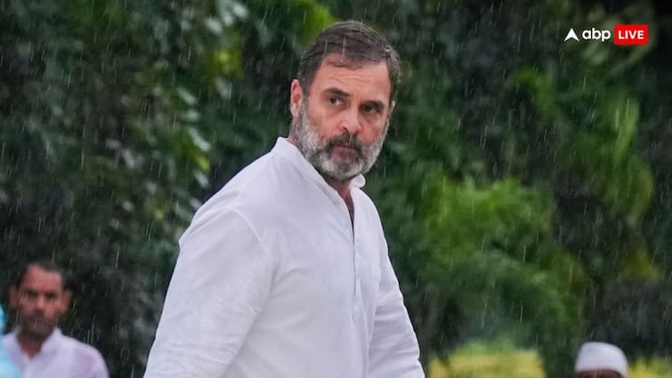 PIL Seeks Action Against Union Minister Over Defamatory Remarks Against Rahul Gandhi PIL Seeks Action Against Union Minister Over 'Defamatory Remarks' Against Rahul Gandhi