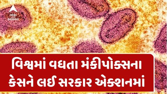 MonkeyPox: વિશ્વમાં વધતા મંકીપોક્સના કેસને લઈ સરકાર એક્શનમાં, બંદરો-એરપોર્ટ પર જારી કરાયું એલર્ટ