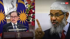 'जाकिर नाइक को... हम आतंकवाद को बढ़ावा कतई नहीं देंगे', भारत को सौंपने के सवाल पर क्या बोले मलेशिया के पीएम