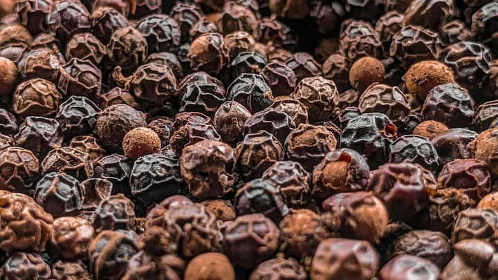 Black Pepper: রান্নায় কেন ব্যবহার করবেন গোলমরিচ? বিভিন্ন খাবারের সঙ্গে কেন খাবেন এই মশলা? জানেন এর গুণ কত?