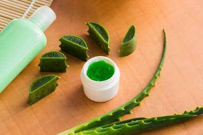 Skin Care Tips: क्या आप भी चेहरे पर एलोवेरा जेल लगाकर सो जाते हैं? जानें क्या होता है इसका असर