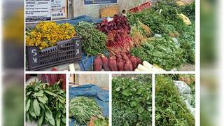 கீரையில் இத்தனை வகைகளா? - அத்தனையும் மருந்துங்க...! தெரிஞ்சிக்கோங்க