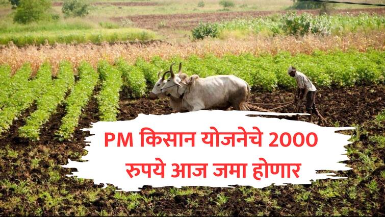 PM Kisan Yojana 2000 installment today in farmers bank account after ladki bahin yojana Namo Shetkari Mahasanman Yojana marathi update PM Kisan Yojana : लाडक्या बहिणीला 3000 हजार, आता 'नमो किसान'चे 2000; एकाच घरात 5000 रुपये मिळणार