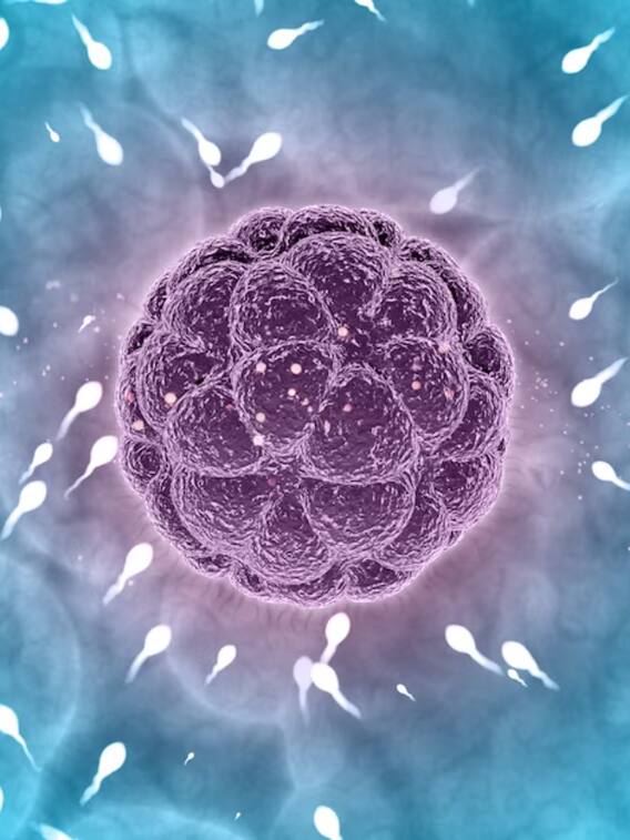 स्पर्म फ्रीजिंग कितने रुपये में होती है