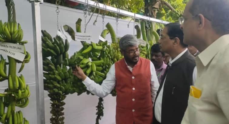 Banana fruit that can be eaten by diabetics is discovered - Director of Banana Research Center சக்கரை நோயாளிகள் உண்ணக்கூடிய வாழை பழம் கண்டுபிடிப்பு- வாழை ஆராய்ச்சி மைய இயக்குனர்