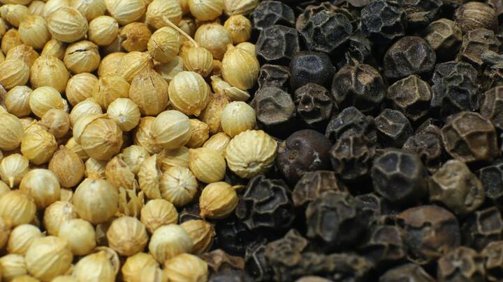 ছবি সূত্র- পিক্সেলস। গোলমরিচের মধ্যে প্রচুর পরিমাণ অ্যান্টিঅক্সিডেন্টস রয়েছে। তার ফলে বার্ধ্যকজনিত অসুখ, ভুলে যাওয়া, স্মৃতি শক্তি কমে যাওয়া এইসব সমস্যা রুখে দেয় এই মশলা।