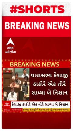 Gujarat Vidhan Sabha | ધારાસભ્ય કેશાજી ઠાકોરે એક તીરે સાધ્યા બે નિશાન