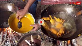 अब इस ग्रह को छोड़ने का वक्त आ गया है... आइसक्रीम पकौड़ा देखकर यूजर्स ने पकड़ लिया अपना सिर