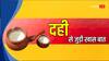 Curd Benefits: दही से जुड़ी ये महत्वपूर्ण बातें क्या आप जानते हैं?