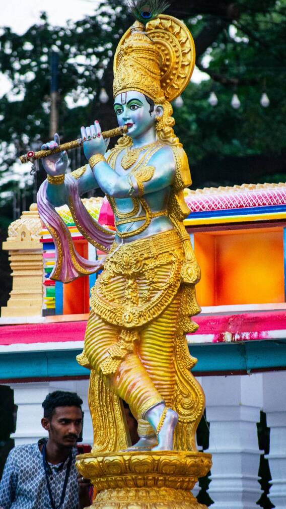 जन्माष्टमीच्या दिवशी घरात मोराची पिसे आणणं शुभ !