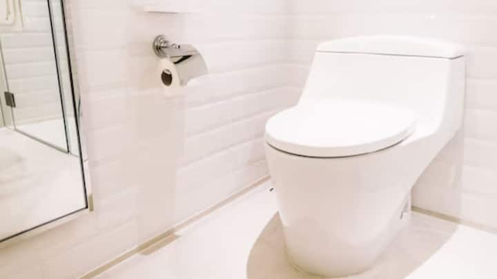 কিন্তু ক্রেপারের বহু আগেই পৃথিবীতে শৌচাগারের আবিষ্কার হয়। শুধু শৌচাগার আবিষ্কারই নয়, আধুনিক যুগে কমোডে ফ্লাশের যে ব্যবস্থা রয়েছে, তাও কয়েক শতক আগেই আবিষ্কৃত হয়।