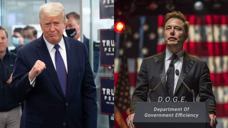 Elon Musk said OK to Donald Trump offer to take him into the US Cabinet Elon Musk: ట్రంప్‌ ఆఫర్‌ తనకు ఓకే అంటున్న ఎలాన్‌ మస్క్‌, ఇంతకీ ఆ ఆఫర్‌ ఏంటో మరి ?