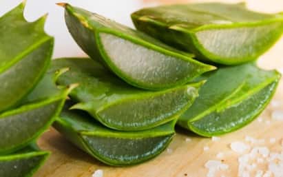 Skin Care Tips: क्या आप भी चेहरे पर एलोवेरा जेल लगाकर सो जाते हैं? जानें क्या होता है इसका असर