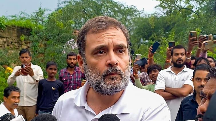 Rahul Gandhi on Jammu Kashmir Congress leader Rahul Gandhi said We want to eliminate fear from Jammu Kashmir will fight elections by alliance कश्मीर से हम डर को मिटाना चाहते हैं, गठबंधन कर लड़ेंगे चुनाव : राहुल गांधी