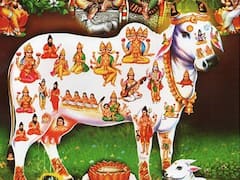 Janmashtami 2025: కృష్ణ జన్మాష్టమి నాడు ఈ 5 వస్తువులను ఇంటికి తీసుకురండి, మీరు ఊహించనంత మంచి జరుగుతుంది!