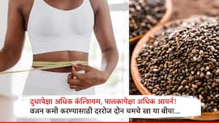 Health: वजन कमी करण्यासह साखर नियंत्रणासाठी दररोज दोन चमचे खा या बिया, दुधाहून जास्त कॅल्शियम पालकापेक्षा अधिक आयर्न