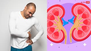 Body Pain: ਸਰੀਰ ਦੇ ਇਨ੍ਹਾਂ ਹਿੱਸਿਆਂ ‘ਚ ਦਰਦ ਤਾਂ ਹੋ ਜਾਓ ਸੁਚੇਤ! ਇਹ ਗੁਰਦੇ ਖਰਾਬ ਹੋਣ ਦੇ ਸੰਕੇਤ