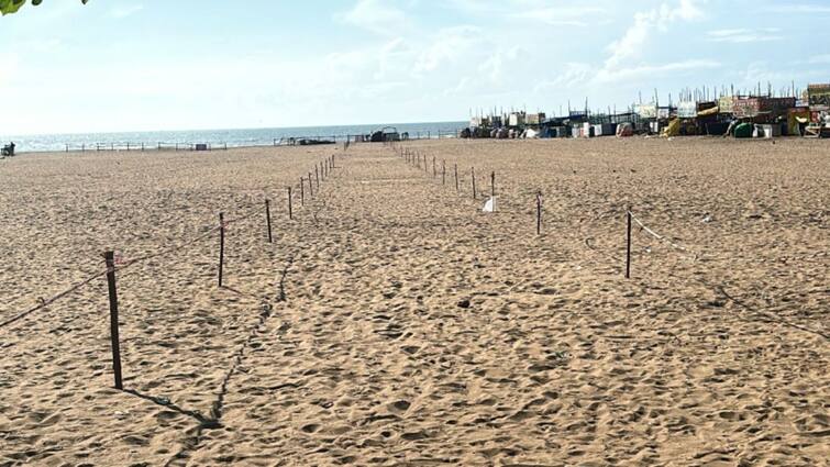 Special Path for Disabled People on Besant Nagar Beach - Chennai Corporation பெசன்ட் நகர் கடற்கரையில் மாற்றுத்திறனாளிகளுக்கு சிறப்பு பாதை - சென்னை மாநகராட்சி