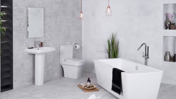 কিন্তু পৃথিবীতে প্রথম বার শৌচাগার কোথায় গড়ে ওঠে, কে প্রথম শৌচাগার নির্মাণ করেন জানেন? শৌচাগারের সৃষ্টি নিয়েই রয়েছে আস্ত ইতিহাস।