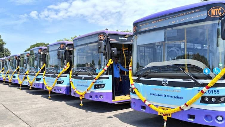 1050 special buses on the occasion of velankanni matha festival 2024 - TNN Velankanni Matha Festival:வேளாங்கண்ணி மாதா திருவிழாவுக்கு 1050 சிறப்பு பேருந்துகள்:முன்பதிவு செய்வது எப்படி..!