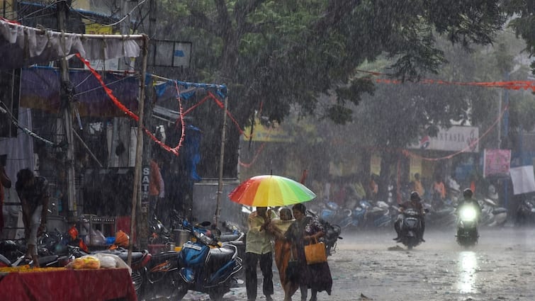 Weather in Telangana Andhra Pradesh Hyderabad on 22 August 2024 Rains updates latest news here Weather Latest Update: తెలుగు రాష్ట్రాలకు కొనసాగుతున్న భారీ వర్ష సూచన, ఈ జిల్లాల్లో అధికంగా వానలు - ఐఎండీ