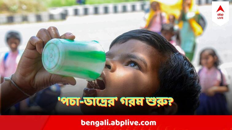 West Bengal Weather Update 21 August Temperature May Sore High Alipore Weather Report Weather Update : নিম্নচাপ কি সরে গেল অন্যদিকে? কলকাতায় 'পচা-ভাদ্রের' গরম? আবহাওয়া দফতরের বড় আপডেট