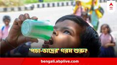 নিম্নচাপ কি সরে গেল অন্যদিকে? কলকাতায় 'পচা-ভাদ্রের' গরম? আবহাওয়া দফতরের বড় আপডেট