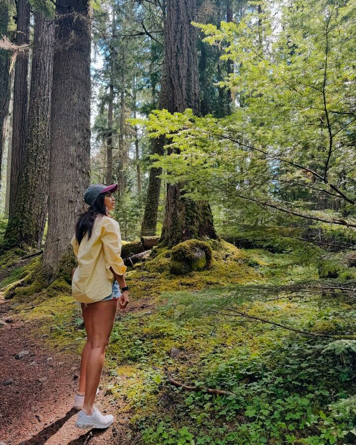 As the old pine fell we sang Just to bless the morning ❤️ అంటూ ఫోటోలు షేర్ చేసింది. (Image Source : Instagram/Pooja Hegde)