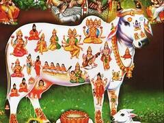 Janmashtami 2024 Shopping: કૃષ્ણ જન્માષ્ટમી પર ઘરે લાવો આ 5 વસ્તુઓ, ગ્રહોની ખરાબ અસર થશે દૂર