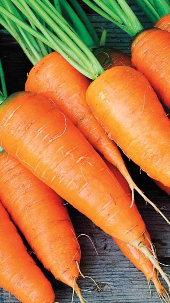 ક્યા સમયે ગાજર ખાવાથી વધુ ફાયદો થાય?